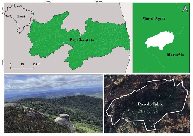 Image from article 1